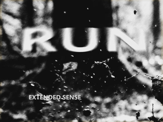 RUN. By Extended Sense. (Download formats MP4/VLC/WAV/MP3)
